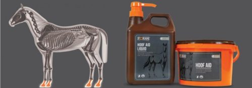 Foran Hoof Aid powder 1 kg