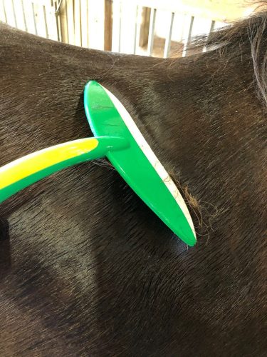 Vízlehúzó Effol Orca anatómiai zöld