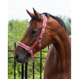 Halter Christmas Rudolph QHP red shetland