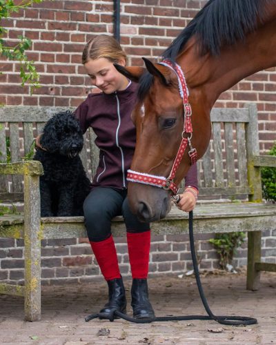 Kötőfék QHP Christmas Rudolph shetland