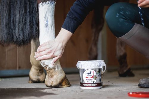 Mineral Pack plus Arnica Leovet 1500 g