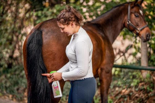 Mane spray Bense & Eicke StarFinish 500 ml