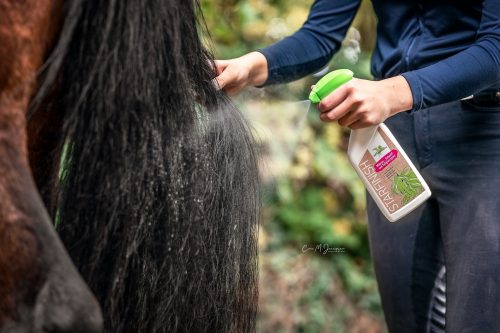 Mane spray Bense & Eicke StarFinish 1000 ml