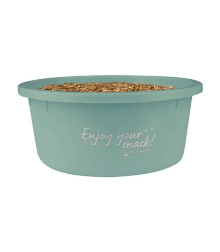 Treat bowl with lid green