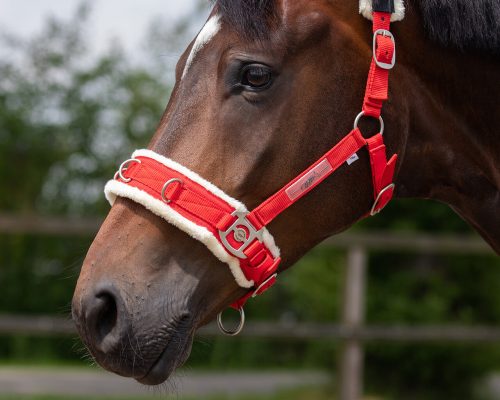 Kapicán QHP gurtni full fekete