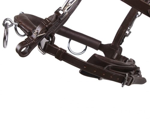 Cavesson QHP leather black pony