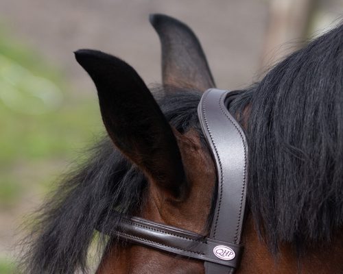 Cavesson QHP leather black cob