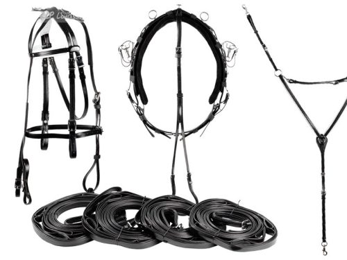 Trotting harness Daslö pvc azure full