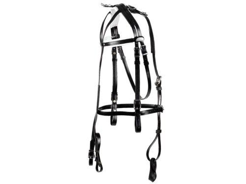 Trotting harness Daslö pvc azure full