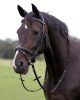 Bridle QHP full dark brown