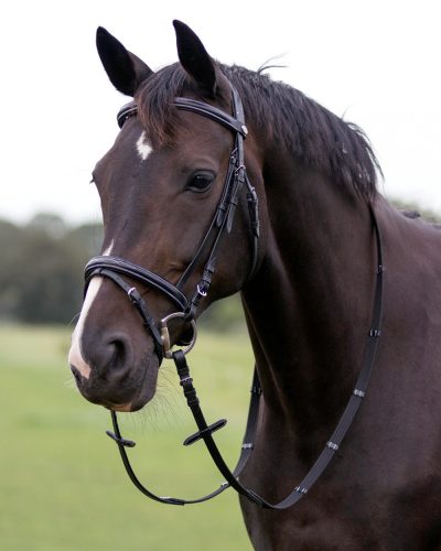 Bridle QHP pony black