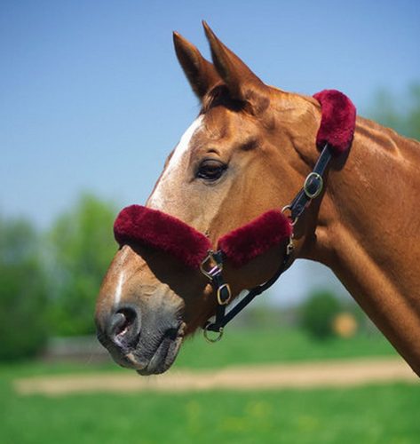 Sheepskin set for halter C.S.O. dark blue