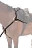 Breastplate KenTaur Palermo cob tobacco