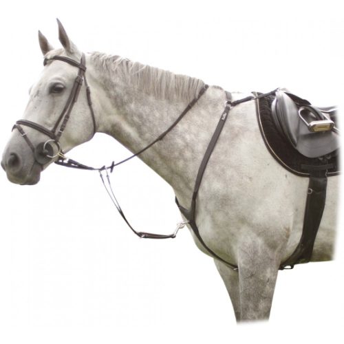 Szügyhám KenTaur Arras full fekete