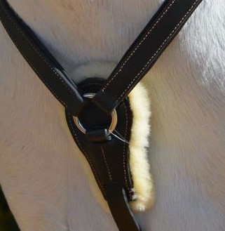 Szügyhám KenTaur Palermohoz szőrme