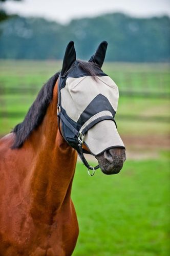Fly mask Horze with long nose pony