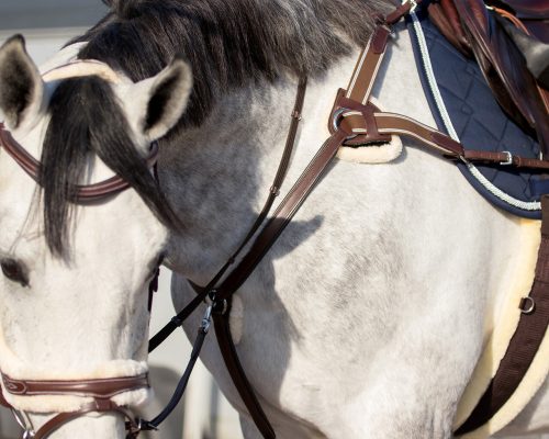 Szügyhám QHP Ontario cob barna