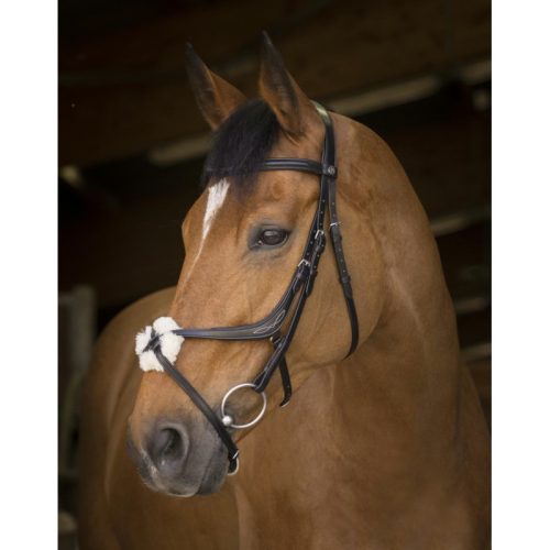 Bridle Pro Norton crossed noseband cob black