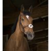 Bridle Pro Norton crossed noseband cob black