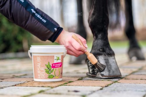 Hoof ointment Bense & Eicke colorless 500 ml