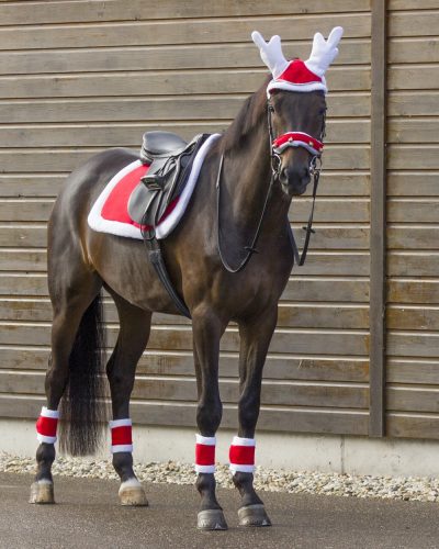 Christmas saddle pad QHP red full