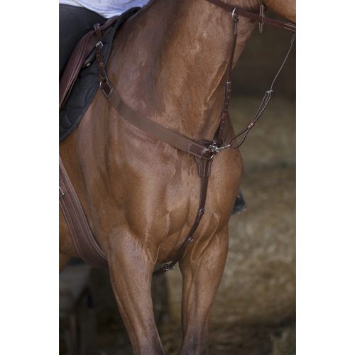 Norton PRO hunting breastplate with martingale cob dark brown