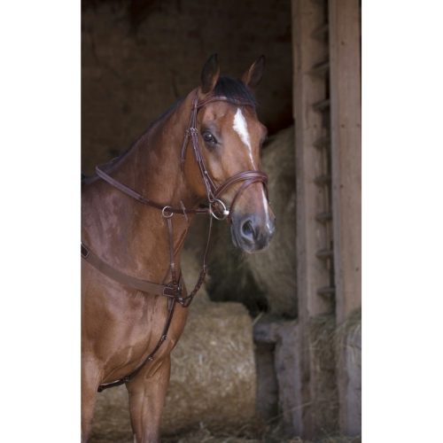 Norton PRO hunting breastplate with martingale cob dark brown