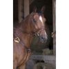 Breastplate Norton Pro 5-point full brown