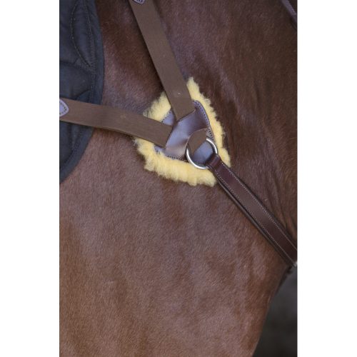 Breastplate Norton Pro 5-point full brown