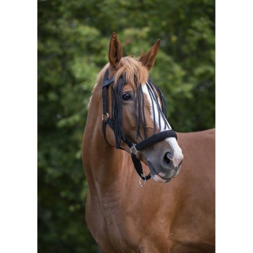 Fly browband Norton pony navy