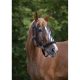 Fly browband Norton cob black