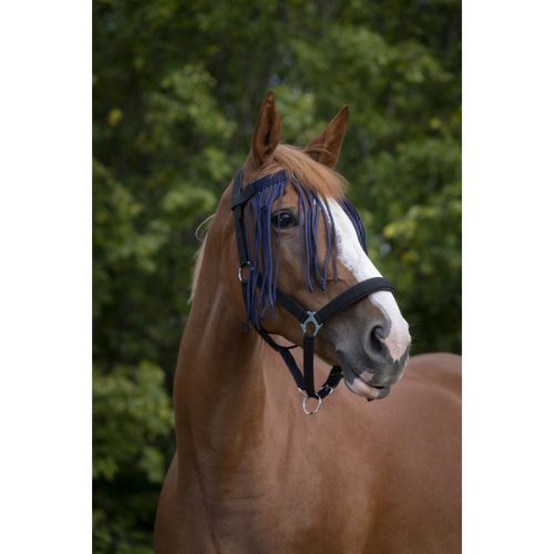 Fly browband Norton cob navy