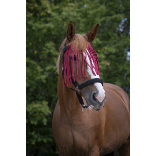 Fly browband Norton full navy