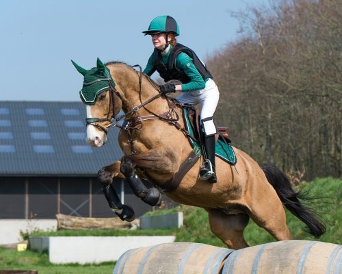 Saddle pad QHP Eldorado full army