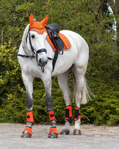 Saddle pad QHP Eldorado full orange