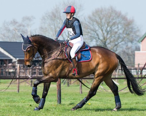 Saddle pad QHP Eldorado full marine