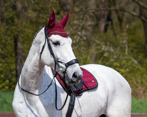 Nyeregalátét QHP Eldorado full bordó