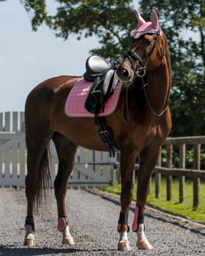 Saddle pad QHP Florence pink shetland