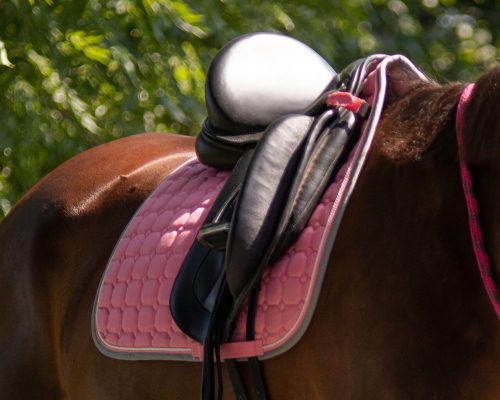 Saddle pad QHP Florence pink shetland