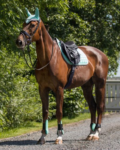 Saddle pad QHP Florence turquoise shetland