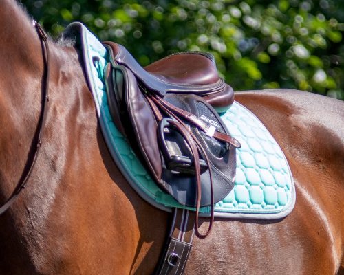 Saddle pad QHP Florence turquoise full