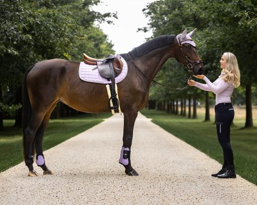 Saddle pad QHP Florence Lavender shetland