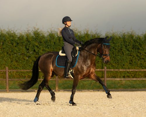 Saddle pad QHP Florence navy shetland
