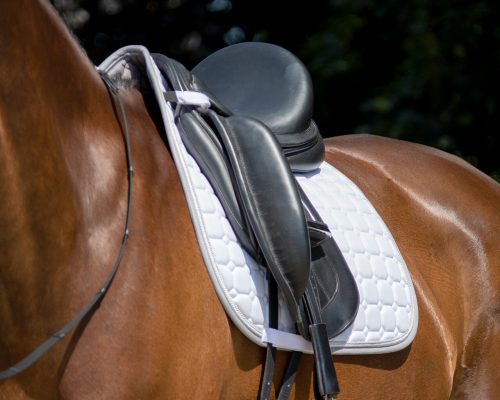 Saddle pad QHP Florence full pony