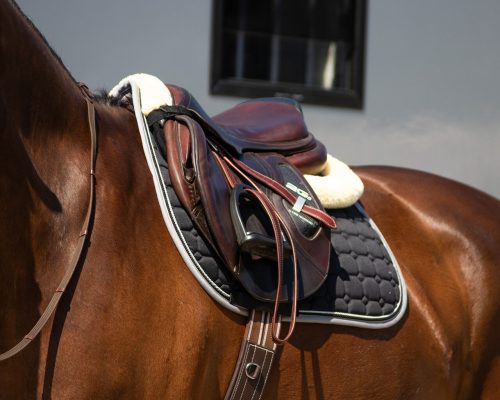 Saddle pad QHP Florence black shetland