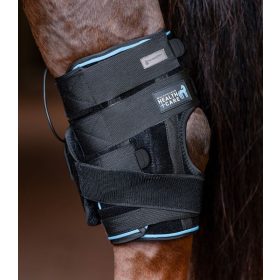 Hock boot health and care Waldhausen + bag