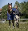Lótakaró polár 165cm s.kék RW hevederrel