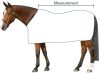 Lótakaró polár 165cm s.kék RW hevederrel