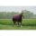 Turnout rug ET Tyrex 150 g 145 cm 1200 D burgundy