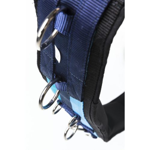 Lunging surcingle Norton brown full